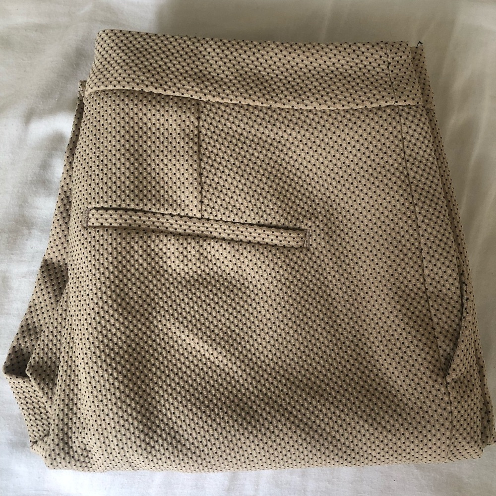 Brand new With Tags Zara Dress Pants